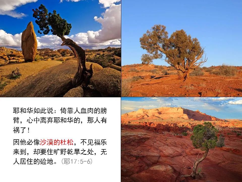 圣经图表——《耶利米书》上(图30) 圣经图表——《耶利米书》上(图30)
