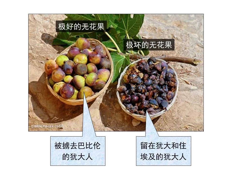 圣经图表——《耶利米书》上(图59) 圣经图表——《耶利米书》上(图59)