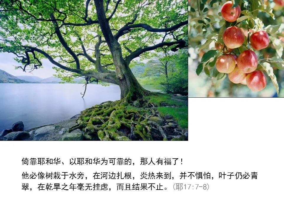 圣经图表——《耶利米书》上(图31) 圣经图表——《耶利米书》上(图31)