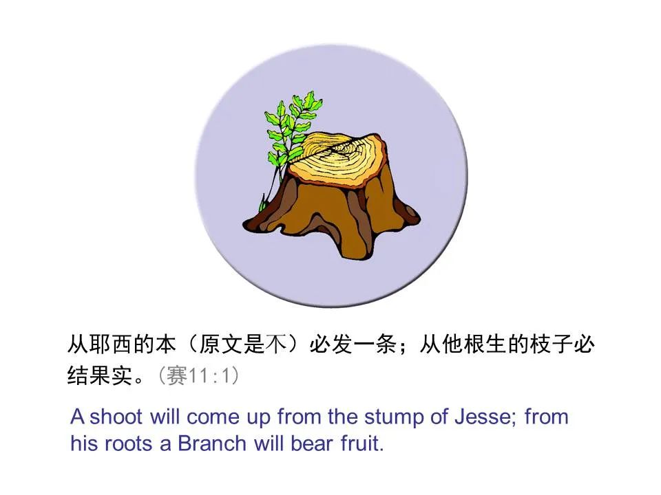 圣经图表——《以赛亚书》上(图50) 圣经图表——《以赛亚书》上(图50)