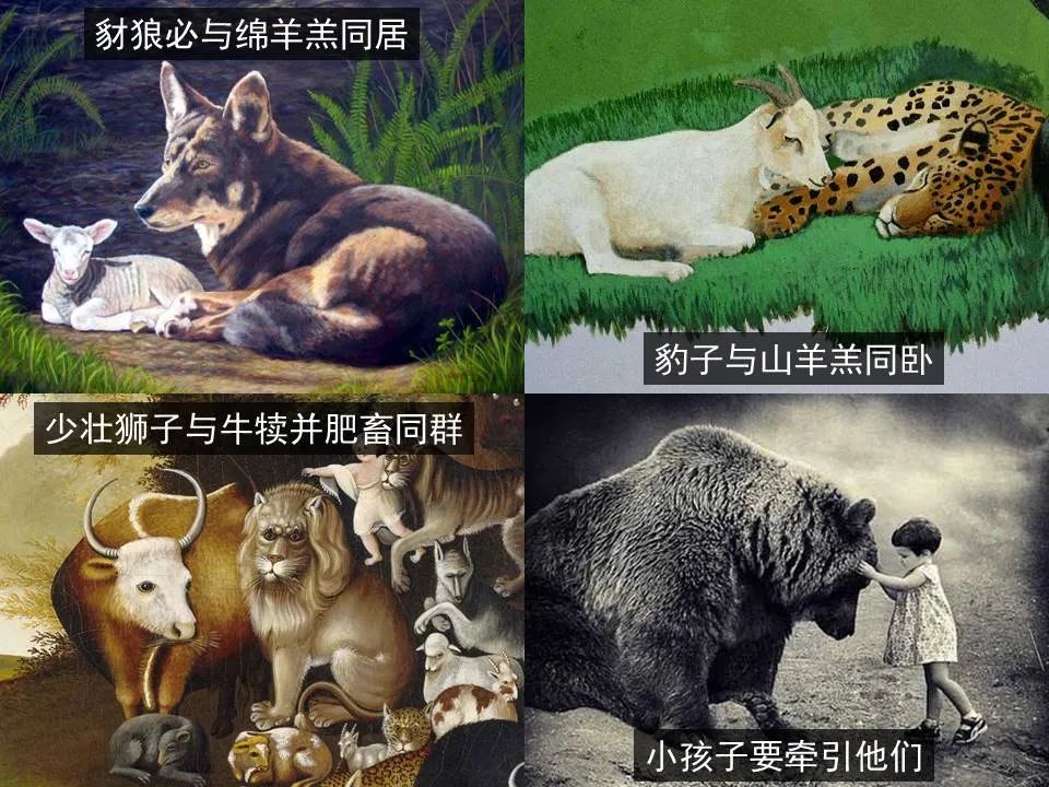 圣经图表——《以赛亚书》上(图52) 圣经图表——《以赛亚书》上(图52)