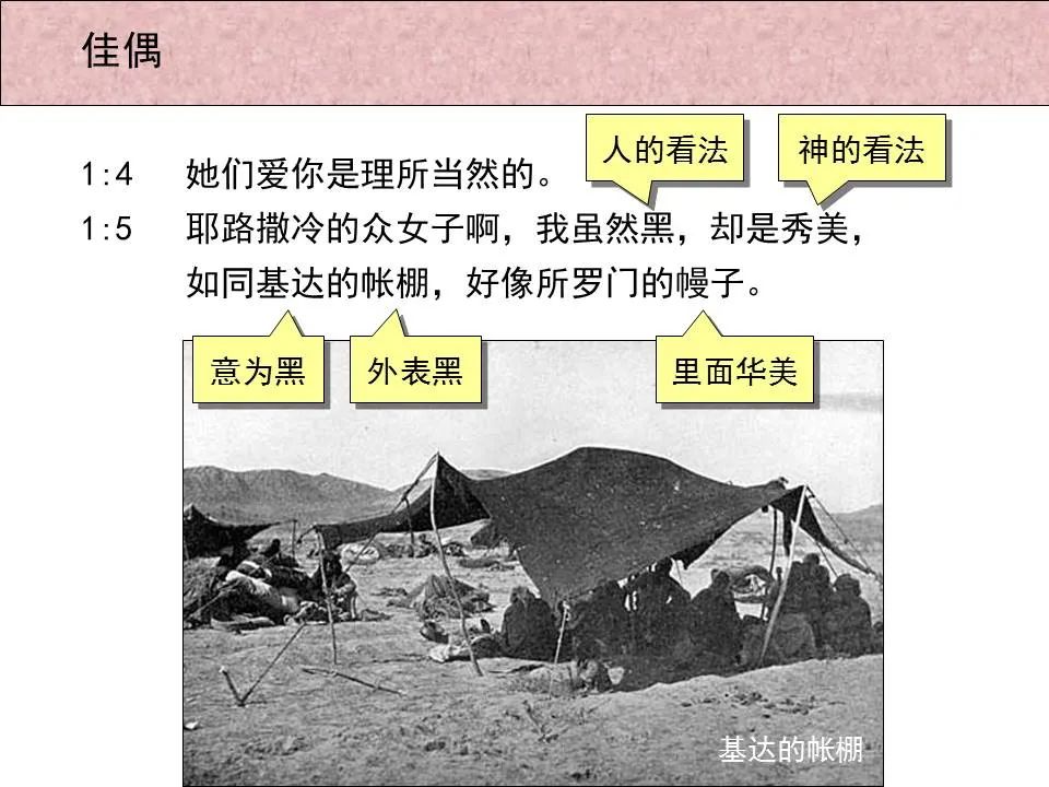 圣经图表——《雅歌》(图4) 圣经图表——《雅歌》(图4)