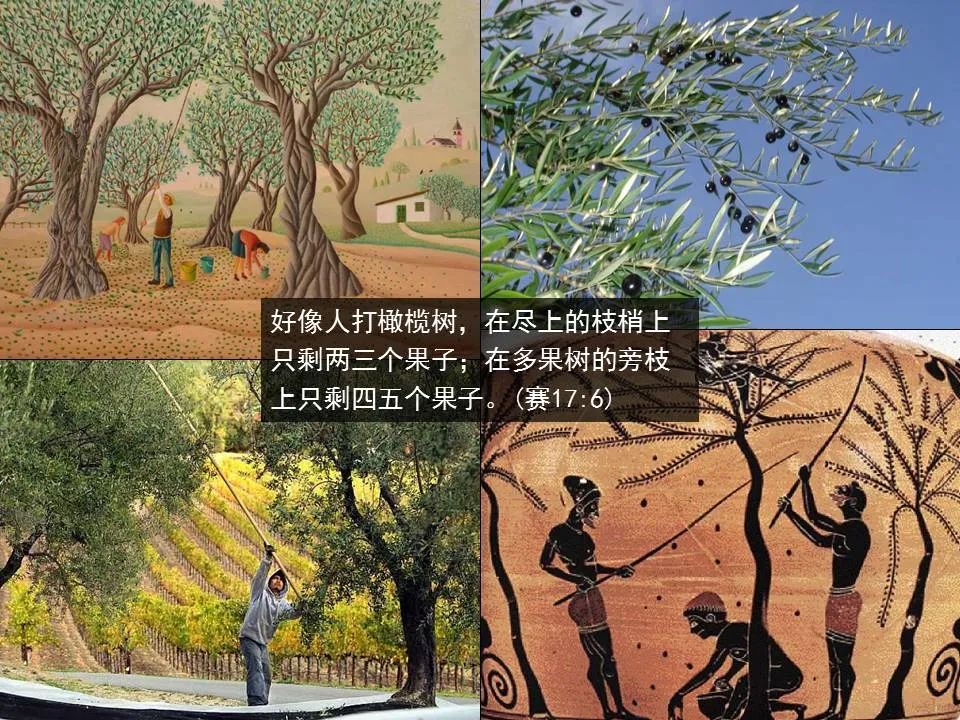 圣经图表——《以赛亚书》上(图76) 圣经图表——《以赛亚书》上(图76)