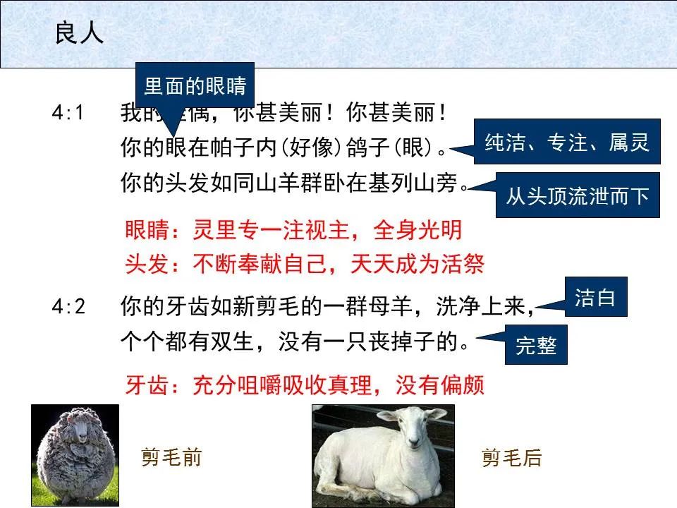 圣经图表——《雅歌》(图27) 圣经图表——《雅歌》(图27)