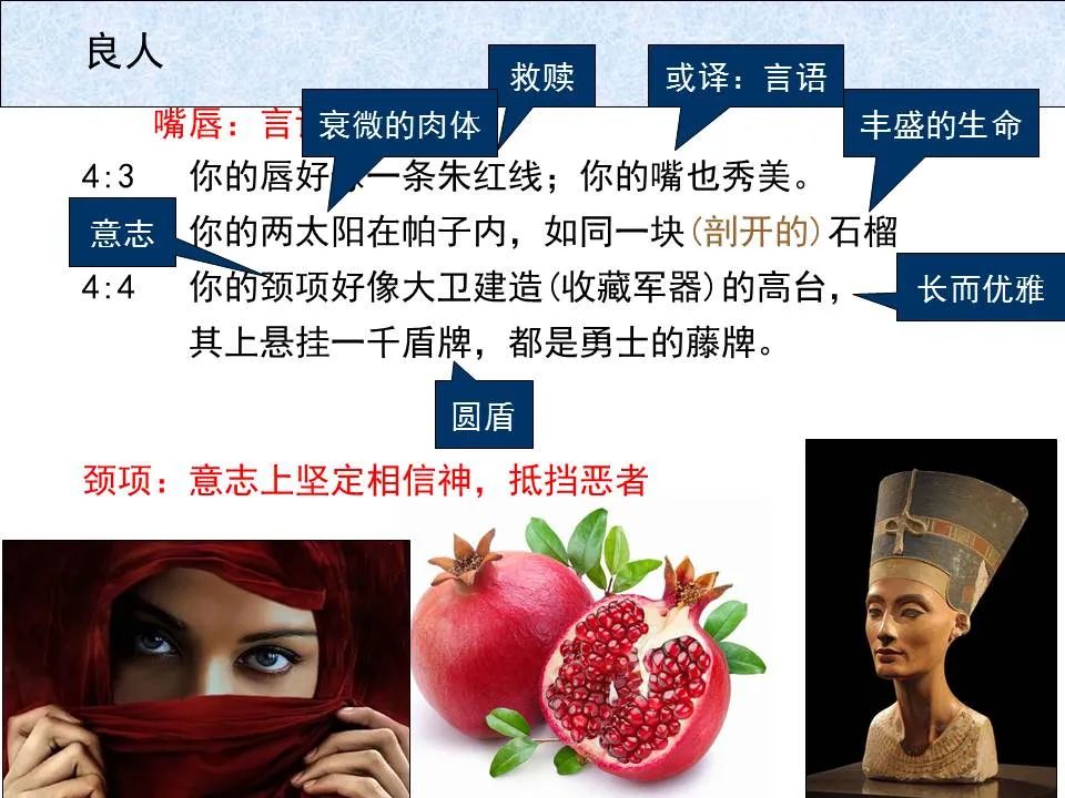 圣经图表——《雅歌》(图28) 圣经图表——《雅歌》(图28)