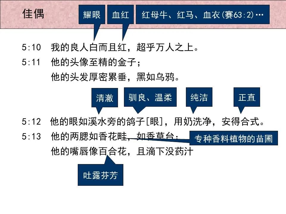 圣经图表——《雅歌》(图45) 圣经图表——《雅歌》(图45)