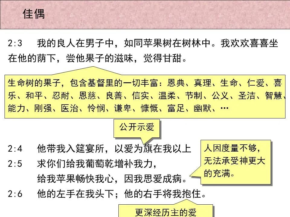 圣经图表——《雅歌》(图14) 圣经图表——《雅歌》(图14)