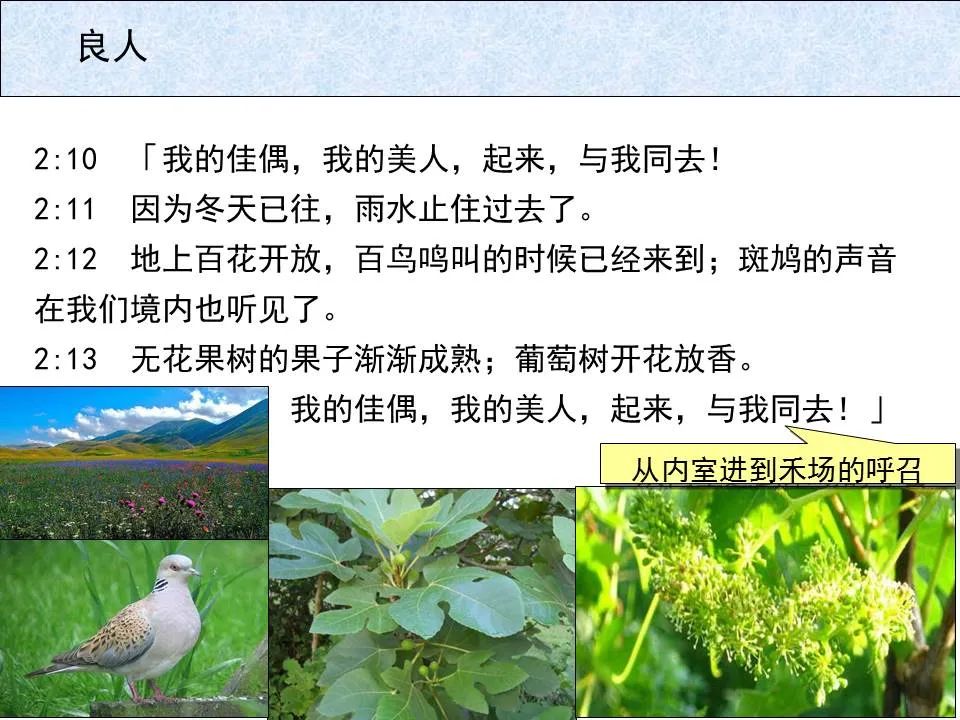 圣经图表——《雅歌》(图19) 圣经图表——《雅歌》(图19)