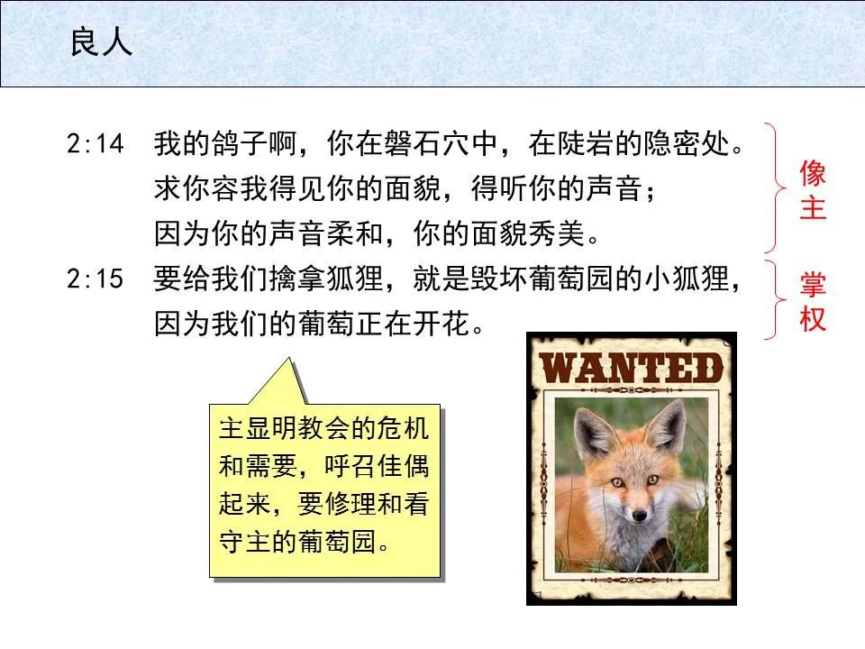 圣经图表——《雅歌》(图21) 圣经图表——《雅歌》(图21)