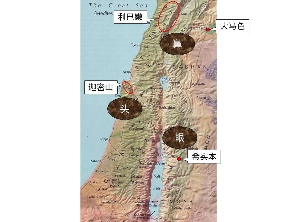 圣经图表——《雅歌》(图61) 圣经图表——《雅歌》(图61)