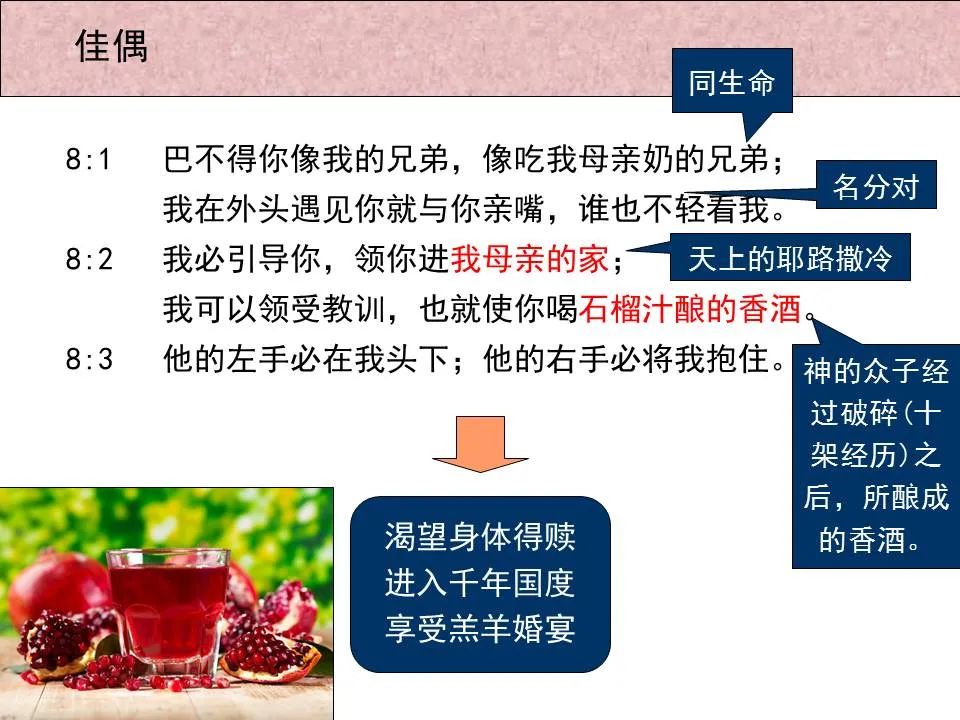 圣经图表——《雅歌》(图66) 圣经图表——《雅歌》(图66)