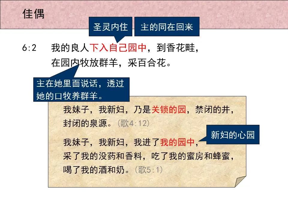 圣经图表——《雅歌》(图49) 圣经图表——《雅歌》(图49)