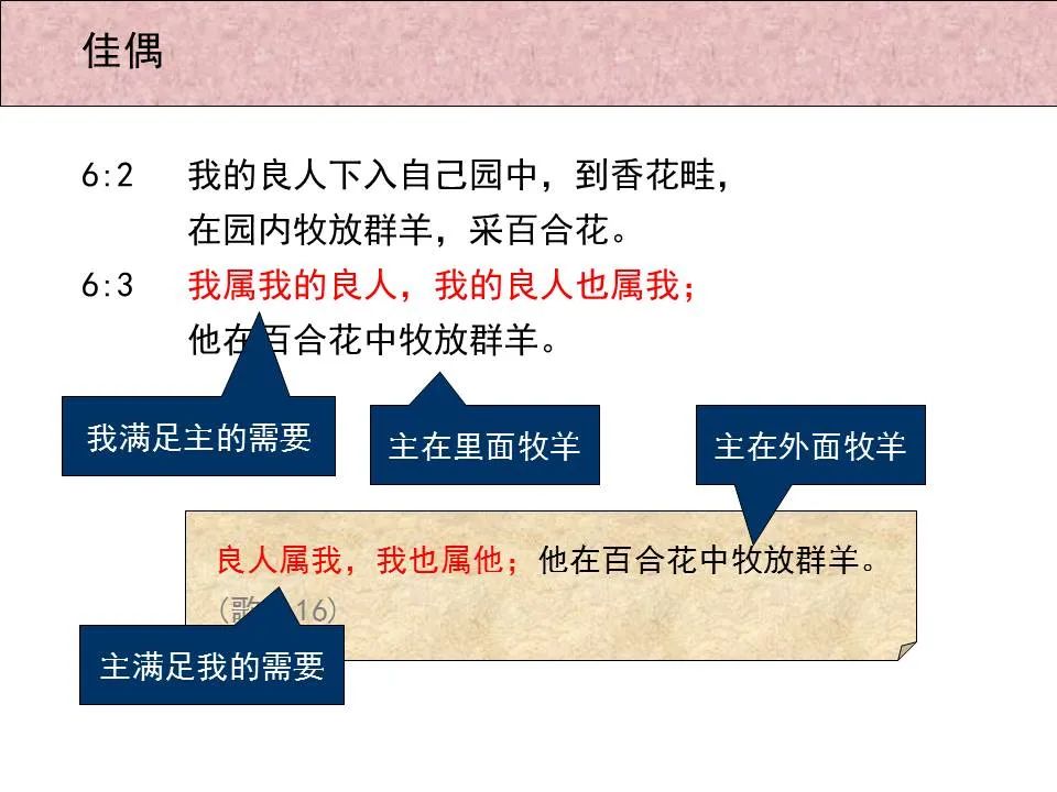 圣经图表——《雅歌》(图50) 圣经图表——《雅歌》(图50)