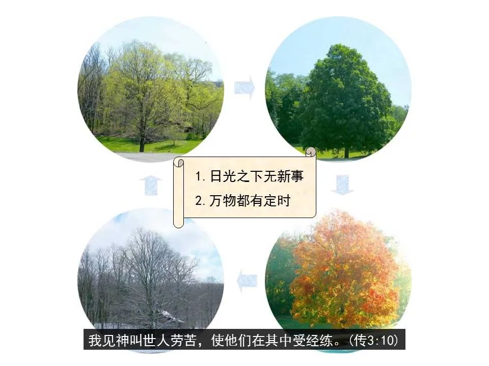 圣经图表——《传道书》(图6) 圣经图表——《传道书》(图6)