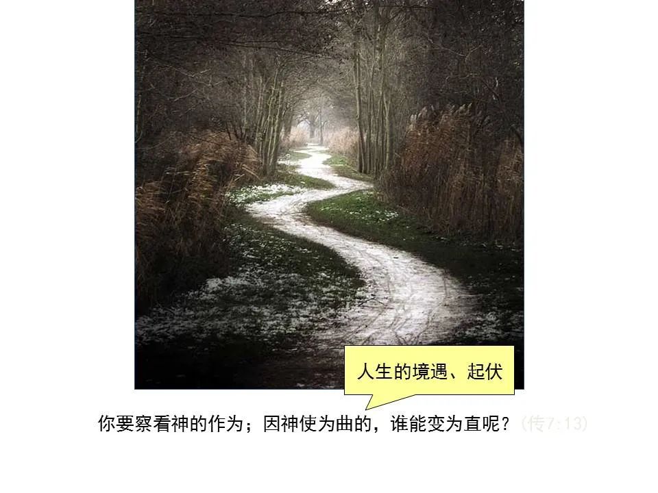 圣经图表——《传道书》(图13) 圣经图表——《传道书》(图13)
