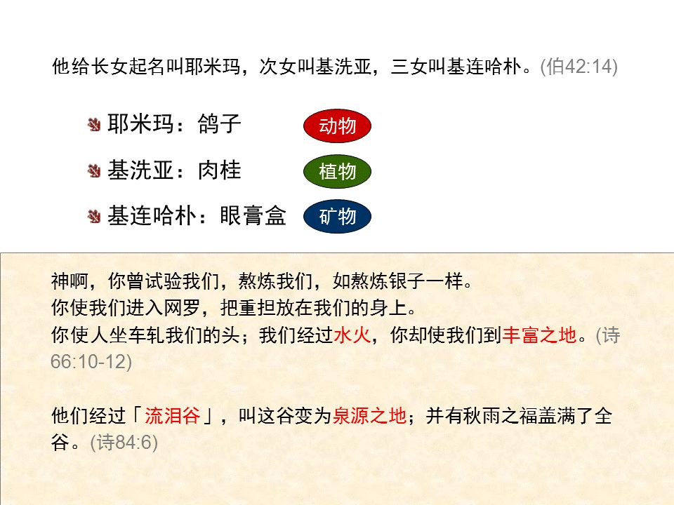 圣经图表——《约伯记》(图21) 圣经图表——《约伯记》(图21)