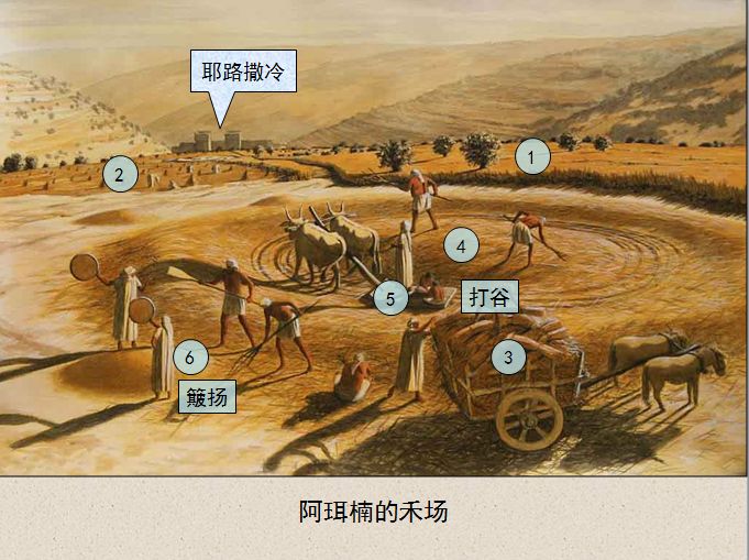 圣经图表——《历代志上》(图31) 圣经图表——《历代志上》(图31)