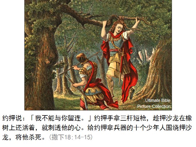 旧约圣经图表——撒母耳记下(图31) 旧约圣经图表——撒母耳记下(图31)