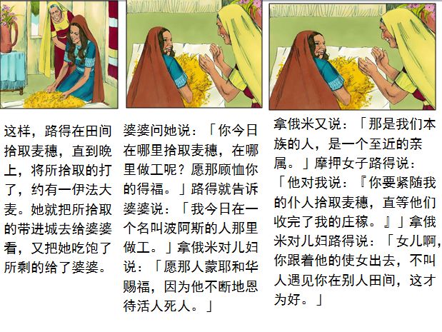 旧约圣经图表——路得记(图13) 旧约圣经图表——路得记(图13)