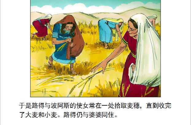 旧约圣经图表——路得记(图14) 旧约圣经图表——路得记(图14)