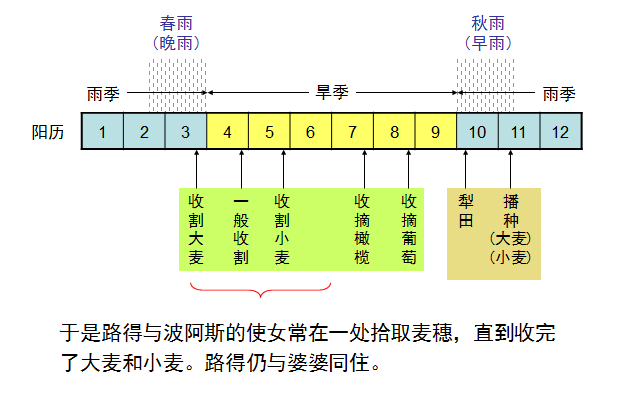 旧约圣经图表——路得记(图15) 旧约圣经图表——路得记(图15)