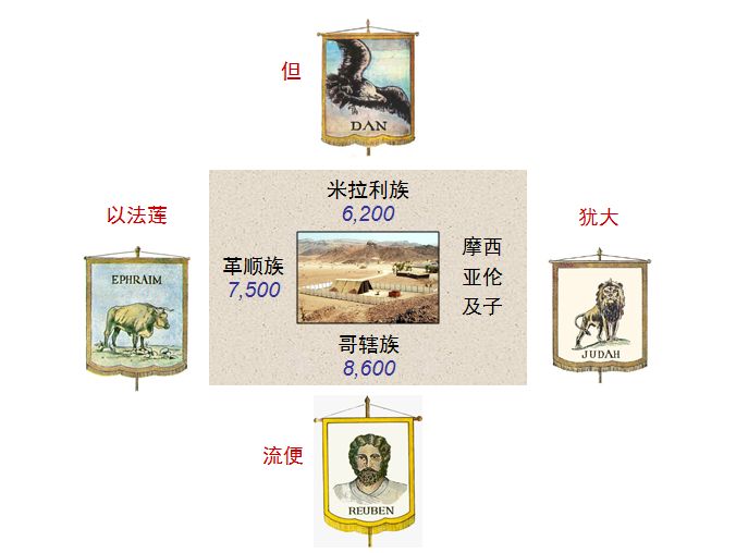 旧约圣经图表——民数记(图8) 旧约圣经图表——民数记(图8)