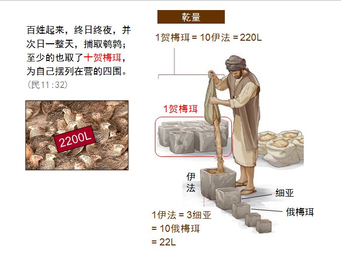 旧约圣经图表——民数记(图19) 旧约圣经图表——民数记(图19)