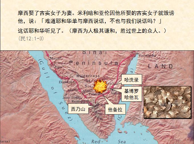 旧约圣经图表——民数记(图20) 旧约圣经图表——民数记(图20)