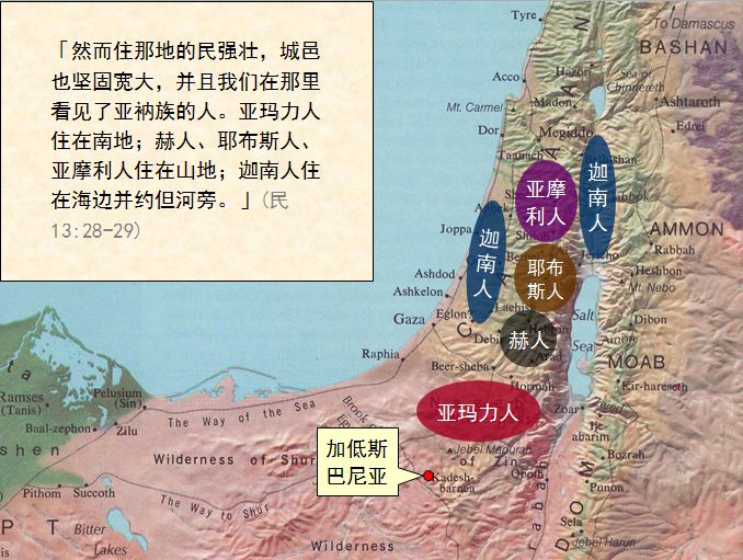 旧约圣经图表——民数记(图23) 旧约圣经图表——民数记(图23)