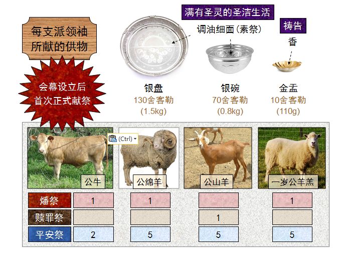 旧约圣经图表——民数记(图14) 旧约圣经图表——民数记(图14)