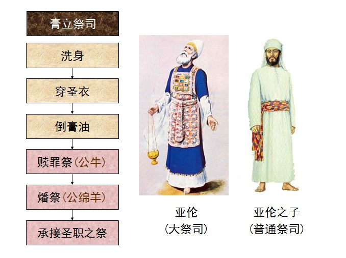 旧约圣经图表——民数记(图15) 旧约圣经图表——民数记(图15)