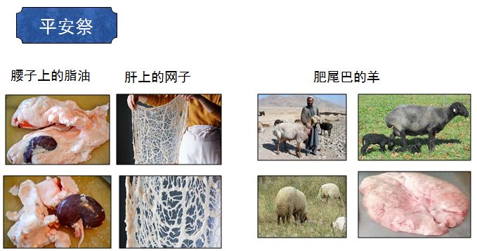 旧约圣经图表——利未记(图6) 旧约圣经图表——利未记(图6)