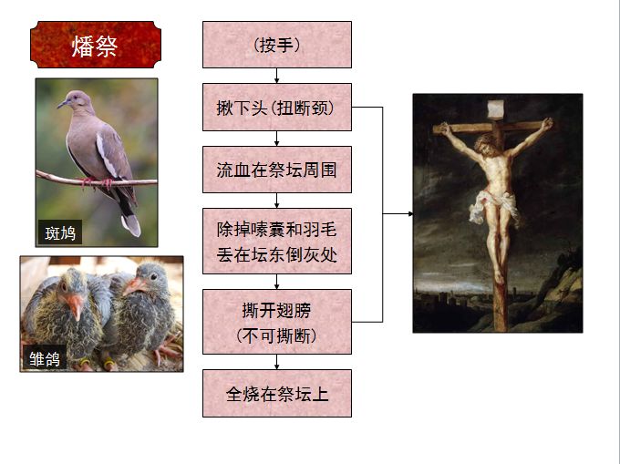 旧约圣经图表——利未记(图4) 旧约圣经图表——利未记(图4)