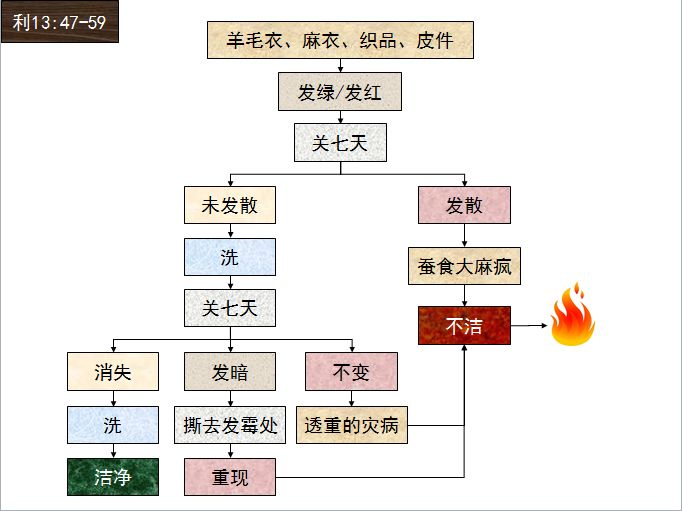 旧约圣经图表——利未记(图30) 旧约圣经图表——利未记(图30)