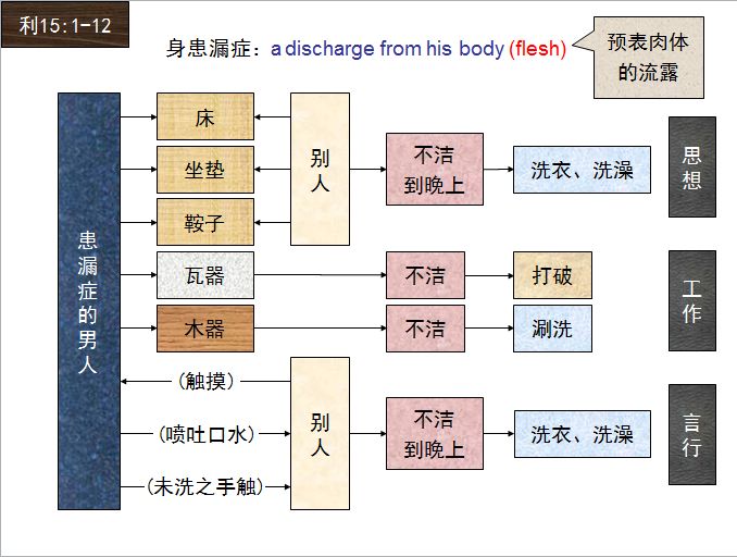 旧约圣经图表——利未记(图34) 旧约圣经图表——利未记(图34)