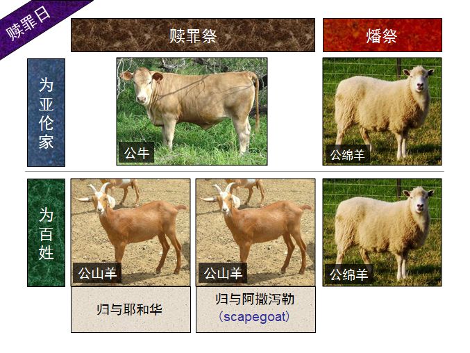 旧约圣经图表——利未记(图39) 旧约圣经图表——利未记(图39)