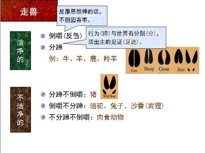 旧约圣经图表——利未记(图18) 旧约圣经图表——利未记(图18)