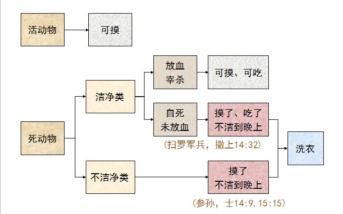 旧约圣经图表——利未记(图24) 旧约圣经图表——利未记(图24)