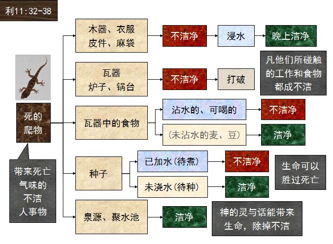 旧约圣经图表——利未记(图25) 旧约圣经图表——利未记(图25)