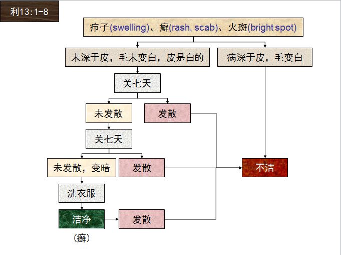 旧约圣经图表——利未记(图27) 旧约圣经图表——利未记(图27)