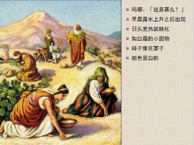 旧约圣经图表——出埃及记(图21) 旧约圣经图表——出埃及记(图21)