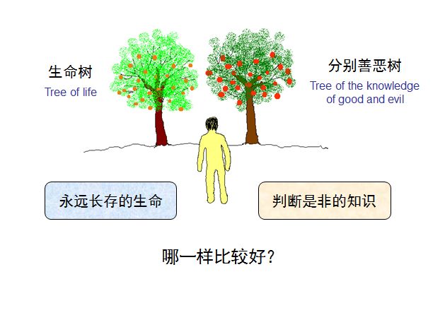 旧约圣经图表——创世记(图3) 旧约圣经图表——创世记(图3)