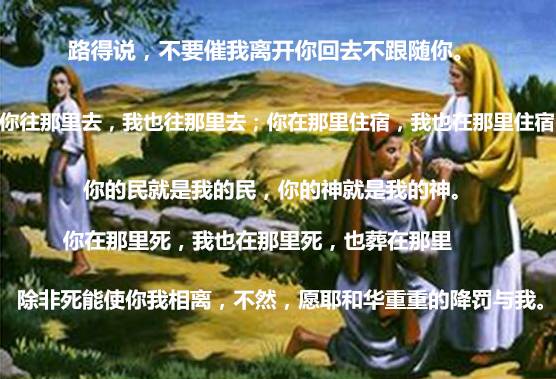 【旧约圣经鸟瞰】第十八讲:路得记(图1) 【旧约圣经鸟瞰】第十八讲:路得记(图1)