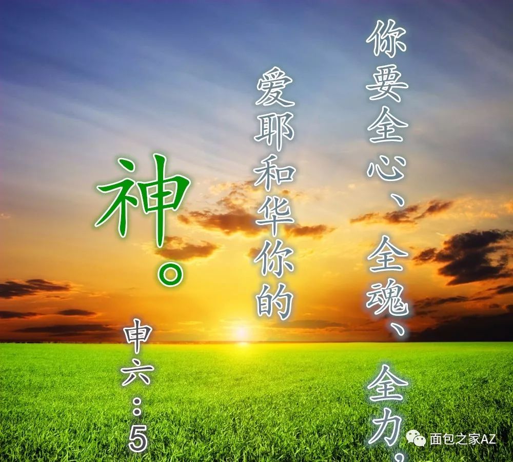 第十三讲:申命记(一)背景与对基督的揭示(图2) 第十三讲:申命记(一)背景与对基督的揭示(图2)