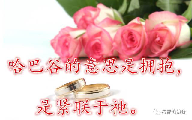 第六十六讲:哈巴谷书(图1) 第六十六讲:哈巴谷书(图1)