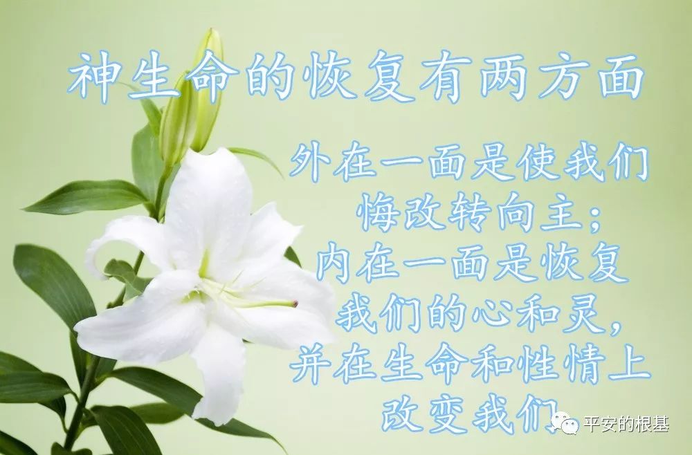 第五十一讲:以西结书(四)(图1) 第五十一讲:以西结书(四)(图1)