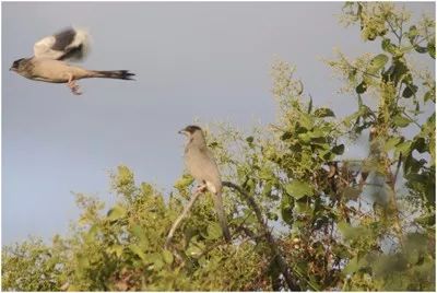 第二讲:马太福音【二】诸天之国(图5) 第二讲:马太福音【二】诸天之国(图5)