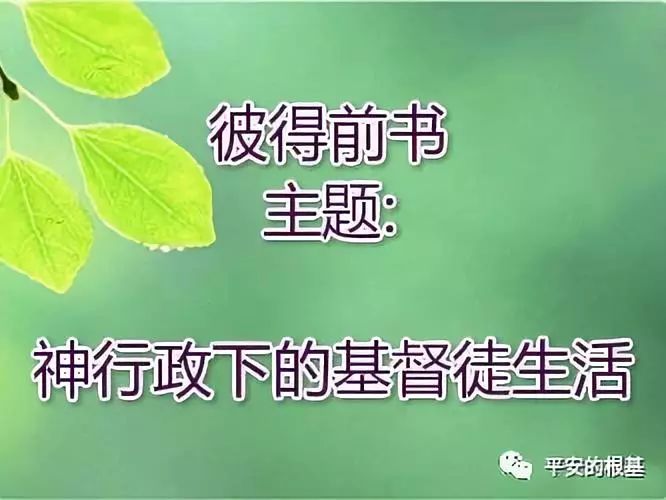第七十一讲:彼前——基督徒的苦难(图1) 第七十一讲:彼前——基督徒的苦难(图1)