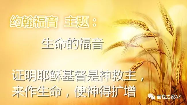 第二十四讲:约翰福音——三一神(图1) 第二十四讲:约翰福音——三一神(图1)