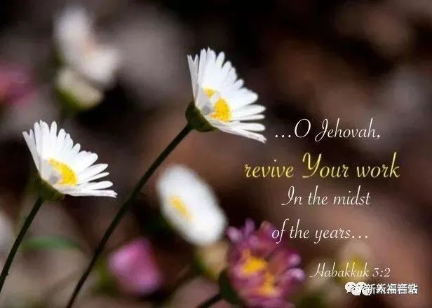 【旧约圣经鸟瞰】第七十二讲：小申言者书中的复兴